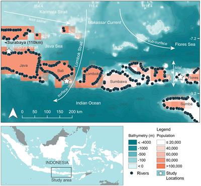 Microplastics on the Menu: Plastics Pollute Indonesian Manta Ray and Whale Shark Feeding Grounds